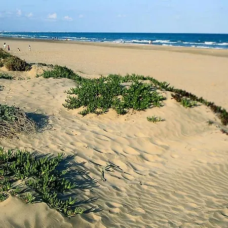 Apartamento En Playa Canet De Berenguer *